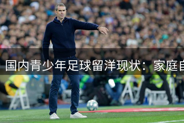 国内青少年足球留洋现状：家庭自费为主 职业梯队占比低